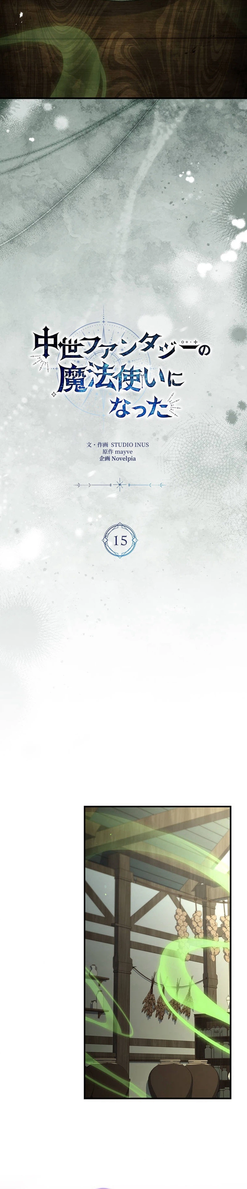 Became a Medieval Fantasy Wizard Chapter 15, page 6 of 32