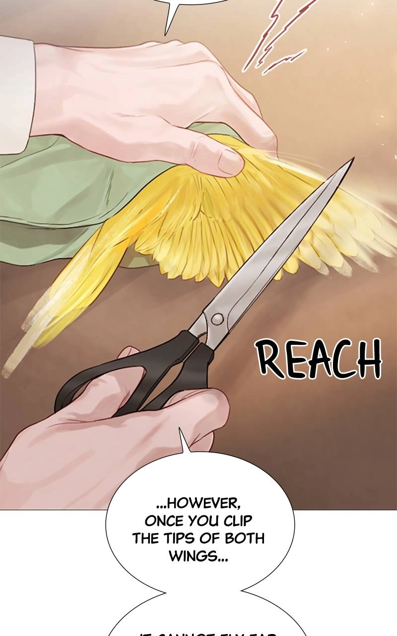 Cry, or Better Yet, Beg Chapter 11, page 69 of 99
