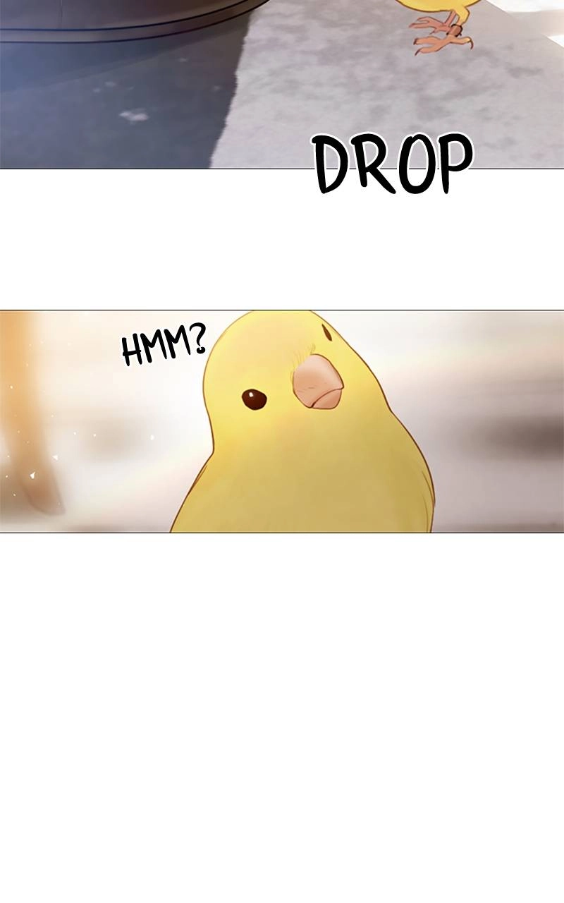 Cry, or Better Yet, Beg Chapter 11, page 78 of 99
