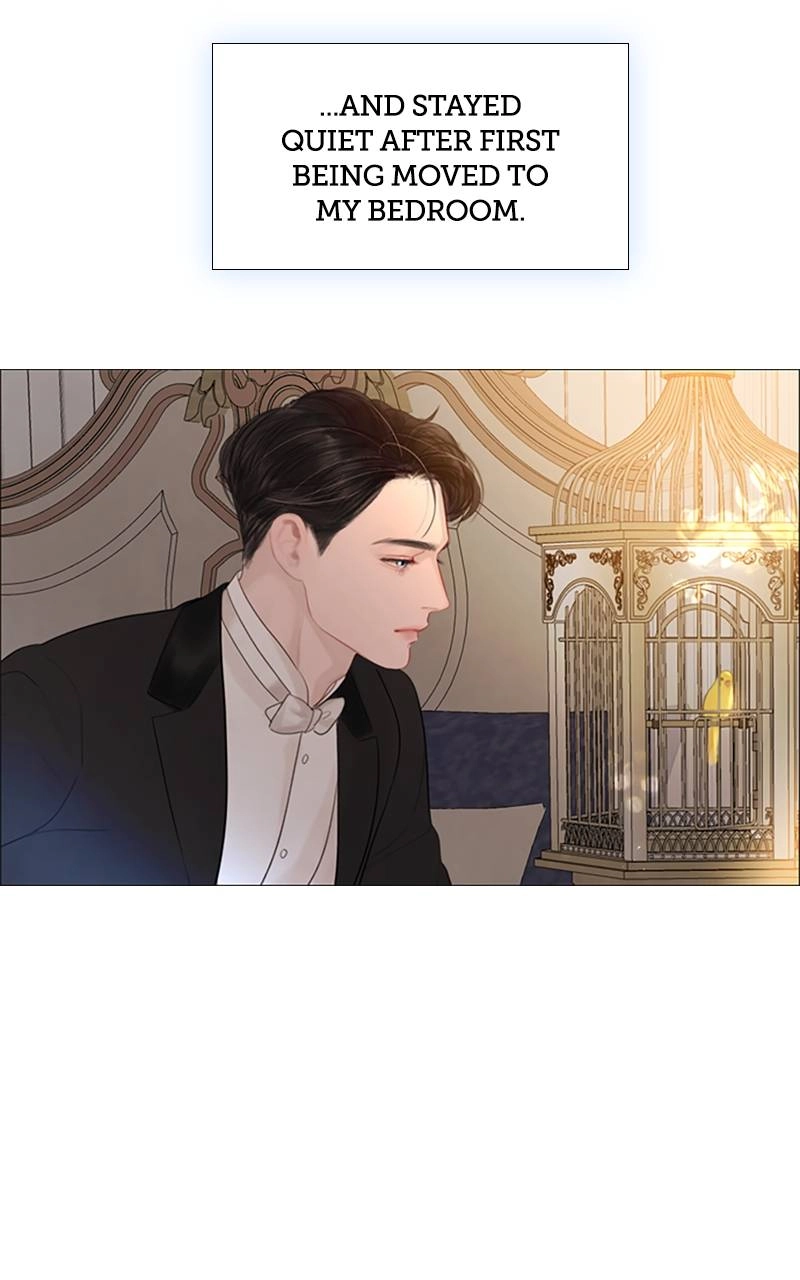 Cry, or Better Yet, Beg Chapter 16, page 66 of 107