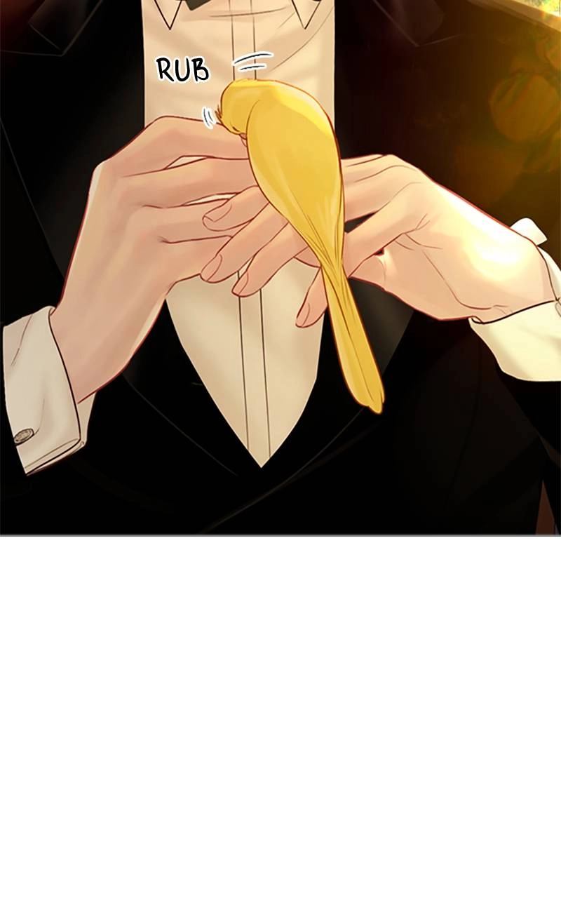 Cry, or Better Yet, Beg Chapter 21, page 24 of 106