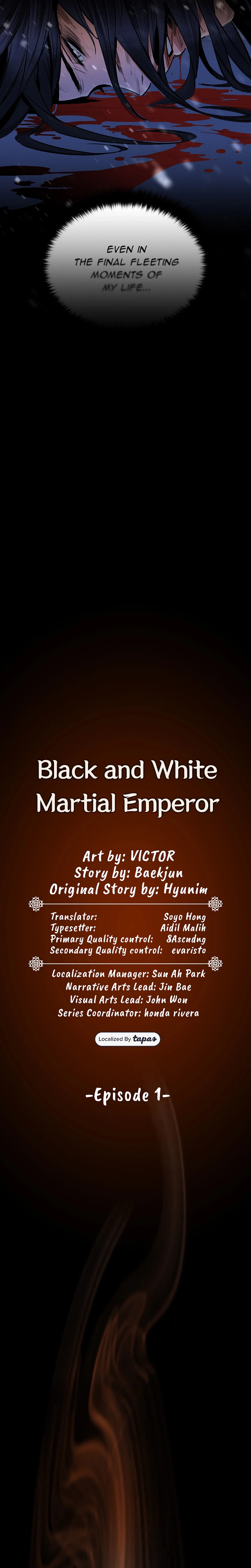 Dark and Light Martial Emperor Chapter 1, page 16 of 38