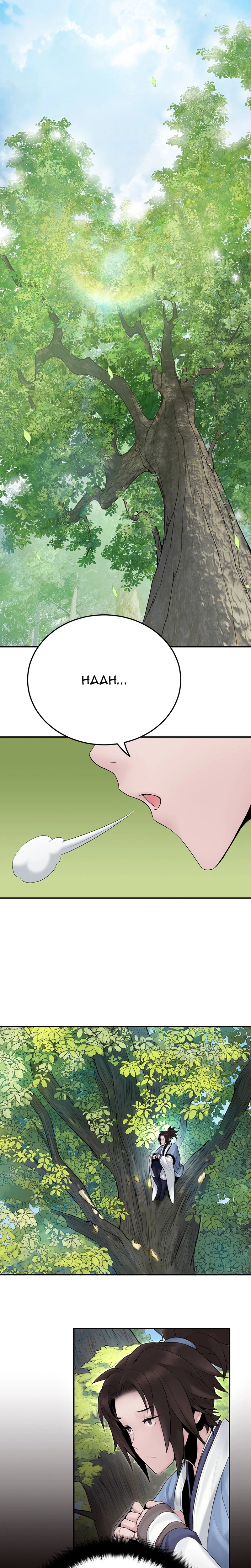 Dark and Light Martial Emperor Chapter 10, page 14 of 37
