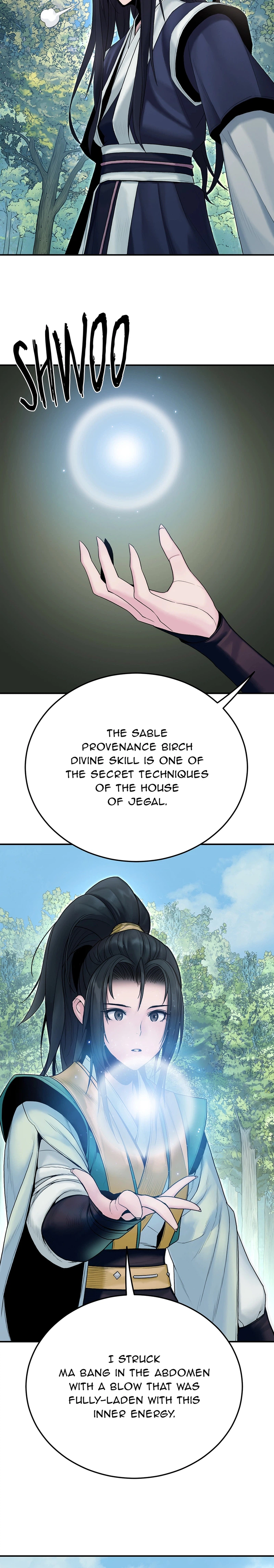 Dark and Light Martial Emperor Chapter 10, page 18 of 37