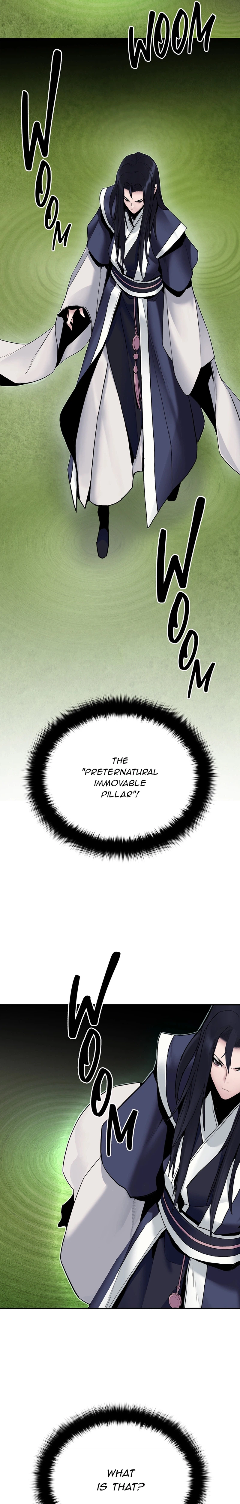 Dark and Light Martial Emperor Chapter 13, page 16 of 29