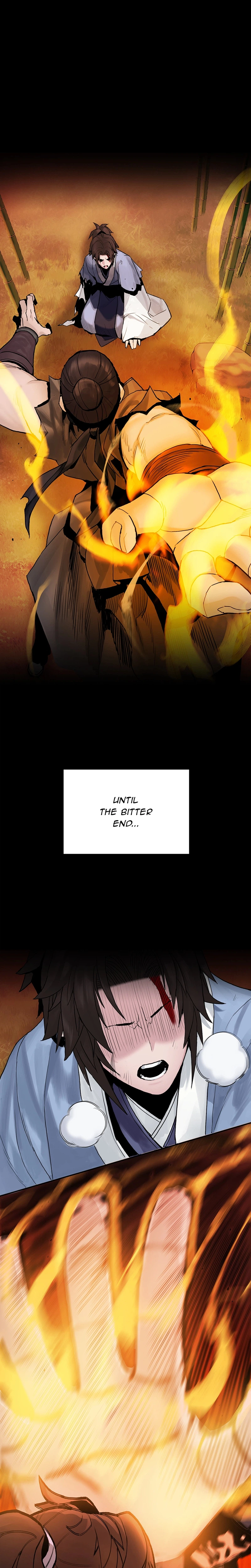 Dark and Light Martial Emperor Chapter 19, page 8 of 28