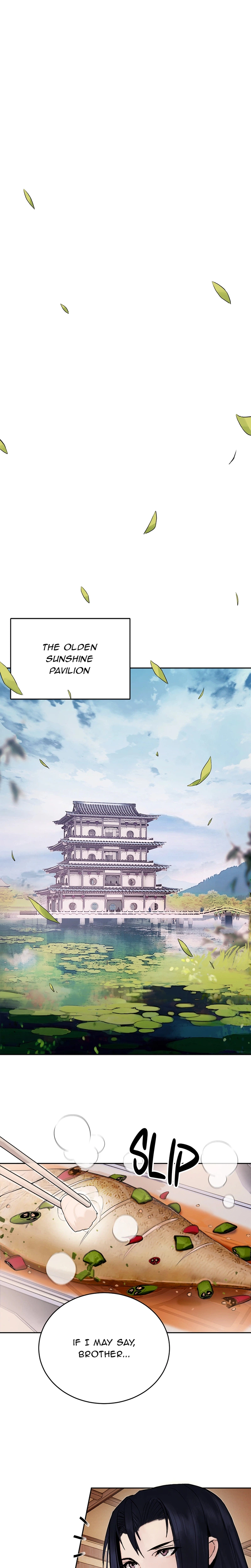 Dark and Light Martial Emperor Chapter 2, page 17 of 36