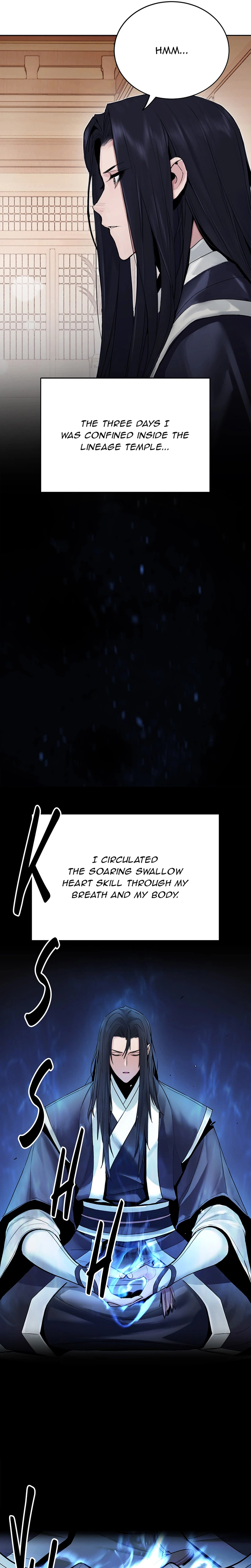 Dark and Light Martial Emperor Chapter 2, page 19 of 36