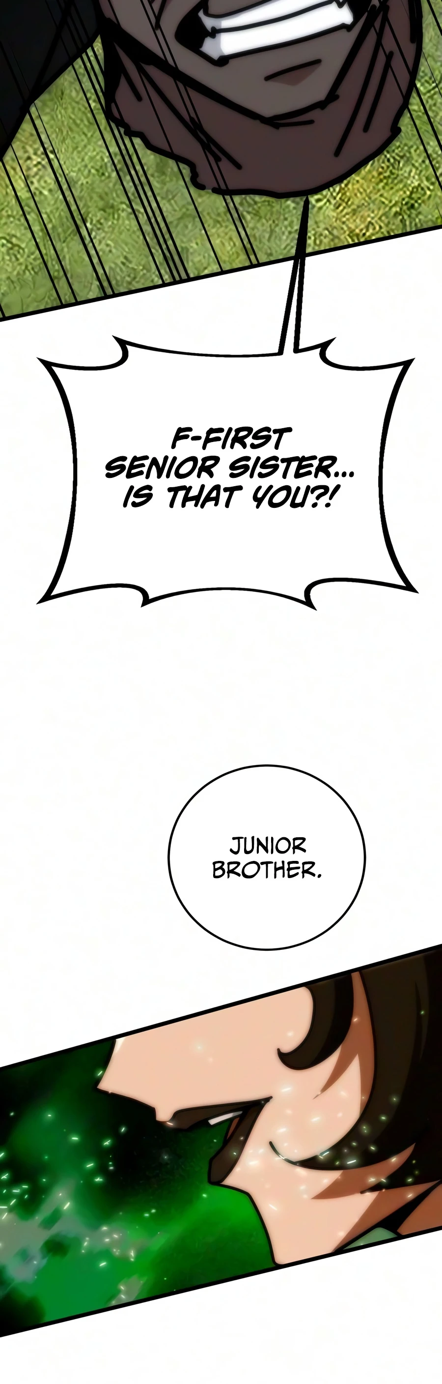 Initializing the Sect System Chapter 46, page 25 of 26