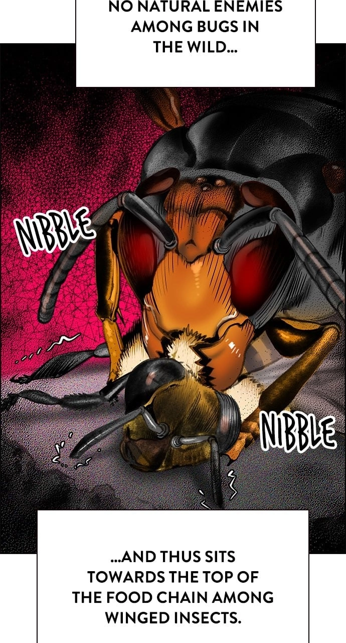 Jungle Juice Chapter 95, page 167 of 173
