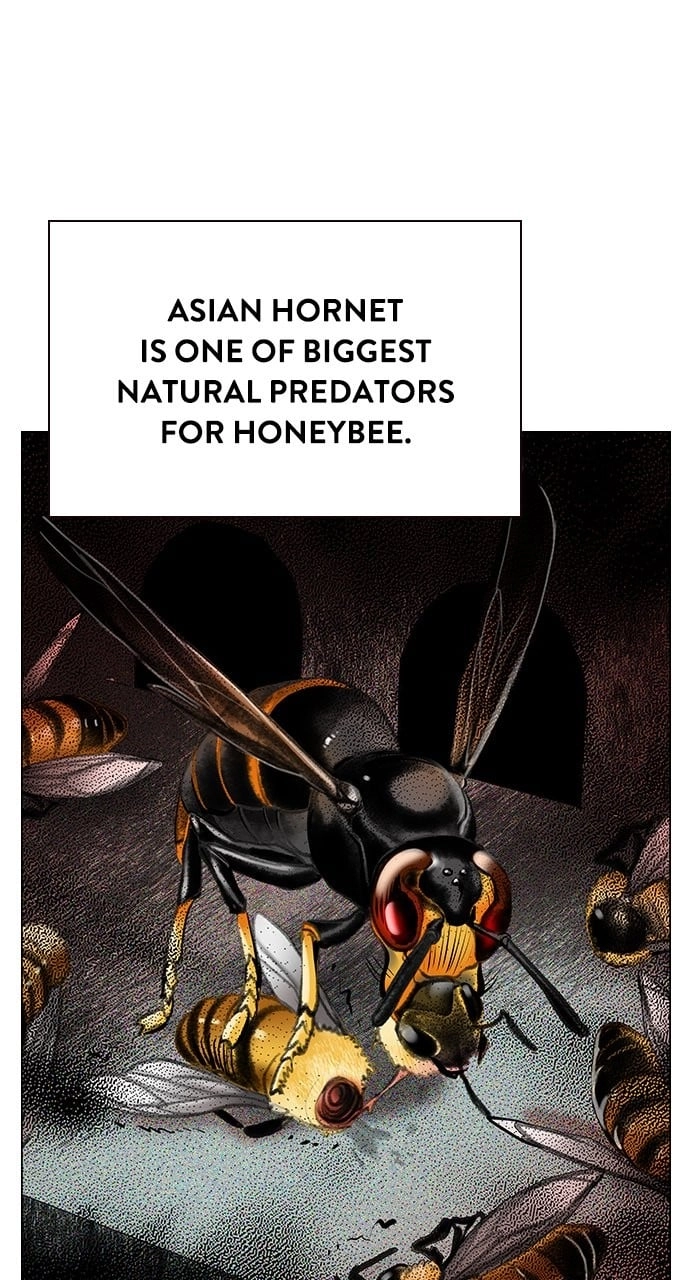Jungle Juice Chapter 95, page 29 of 173