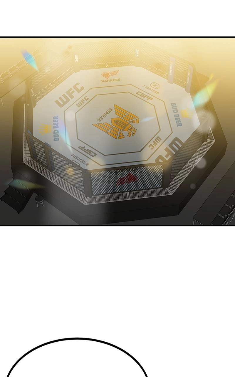 King of the Octagon Chapter 52, page 48 of 88