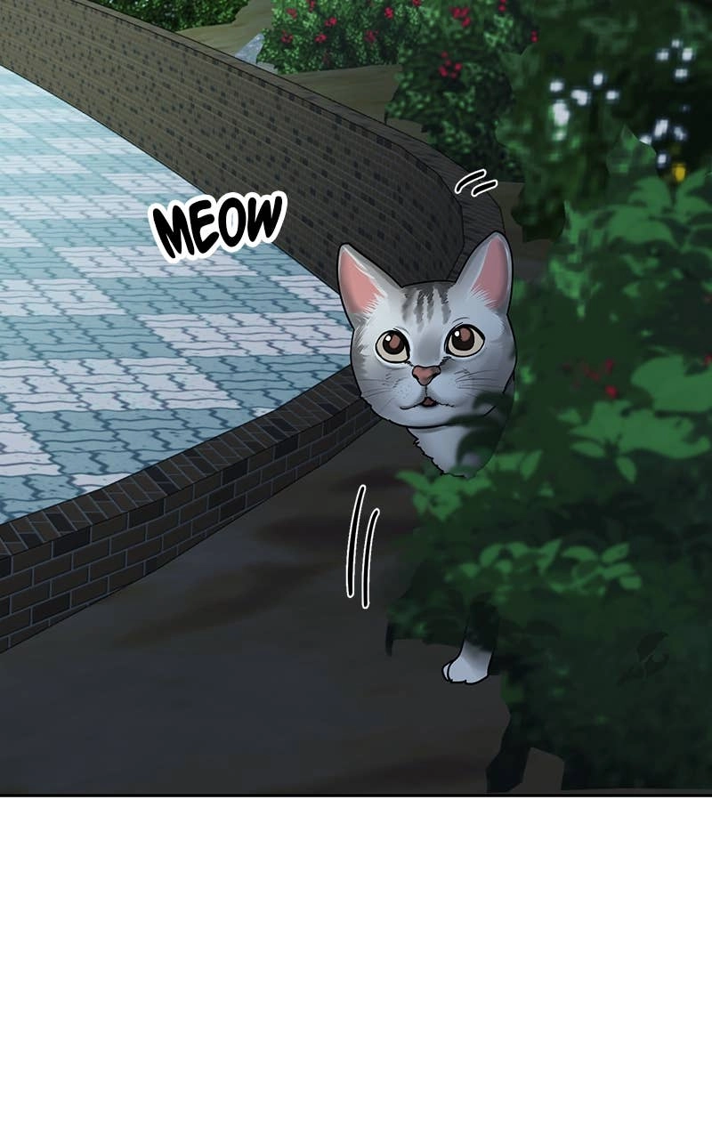 My Comeback as the Youngest Member Chapter 24, page 5 of 118
