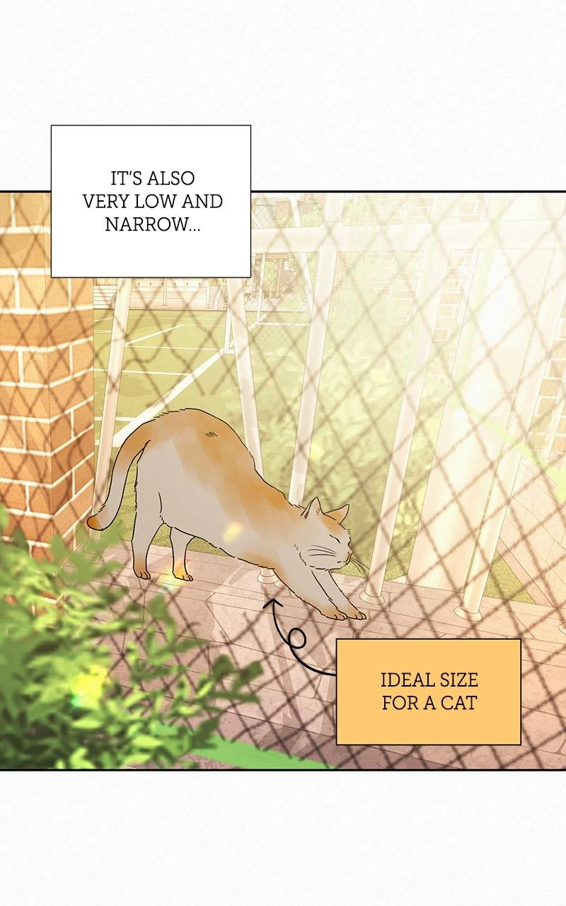 Operation: True Love Chapter 44, page 67 of 128