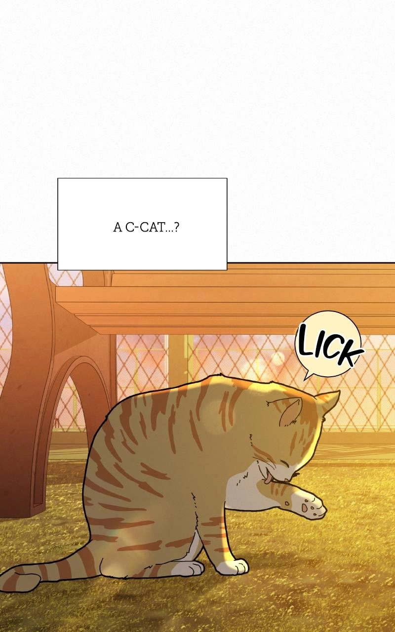 Operation: True Love Chapter 99, page 30 of 110