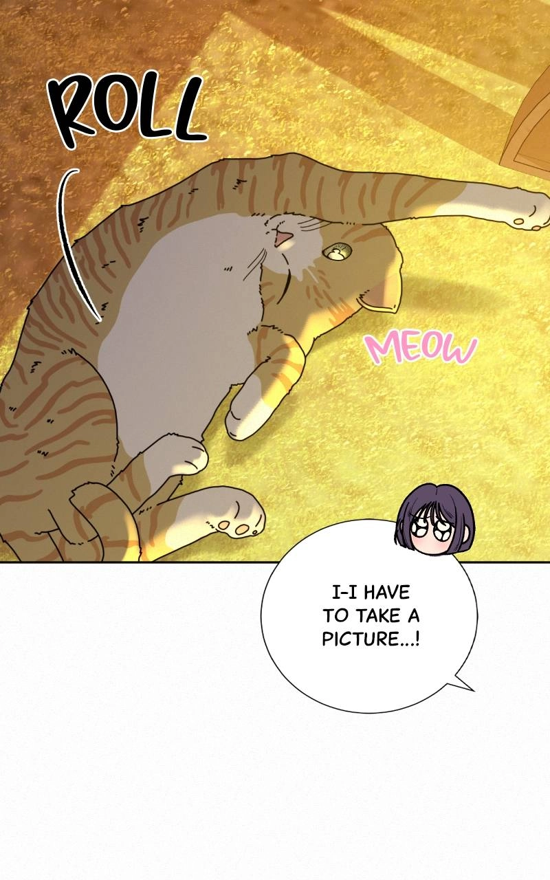 Operation: True Love Chapter 99, page 43 of 110