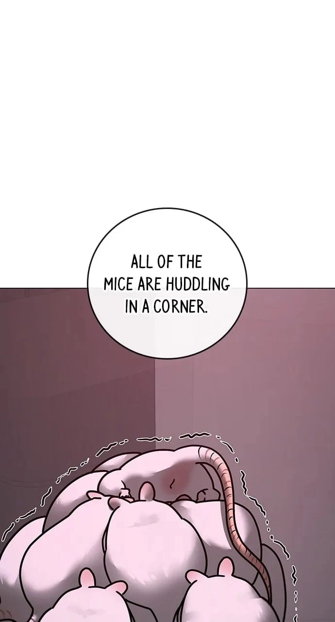 Reality Quest Chapter 113, page 69 of 145
