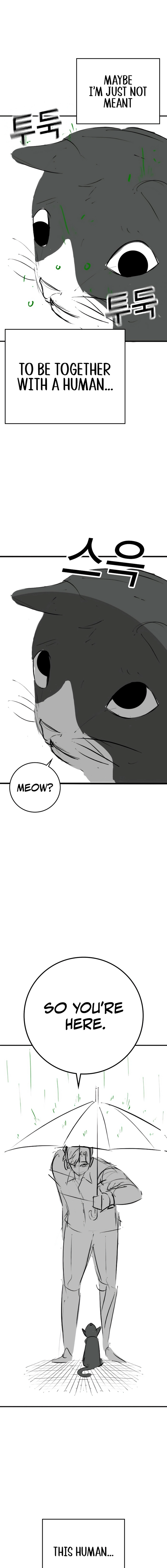 Reality Quest Chapter 164.9, page 15 of 19