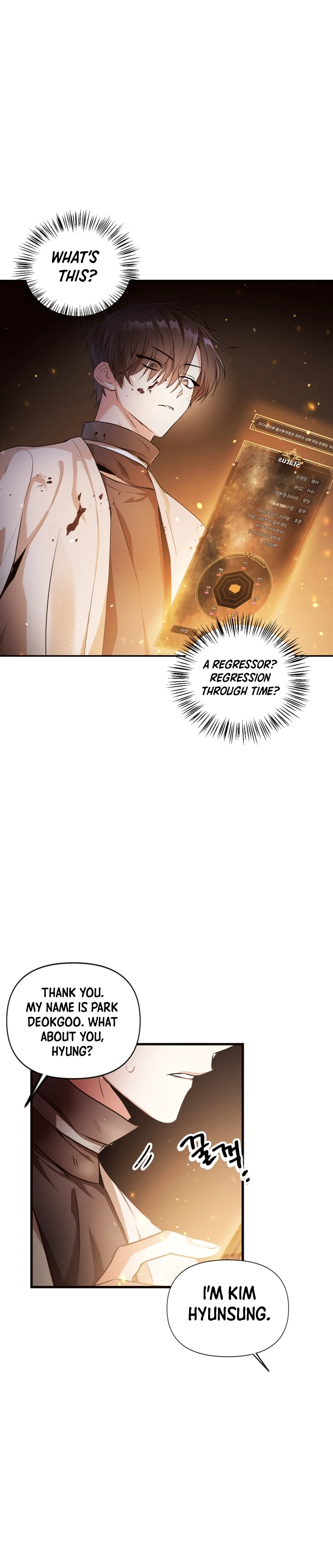 Regressor Instruction Manual Chapter 3, page 7 of 17