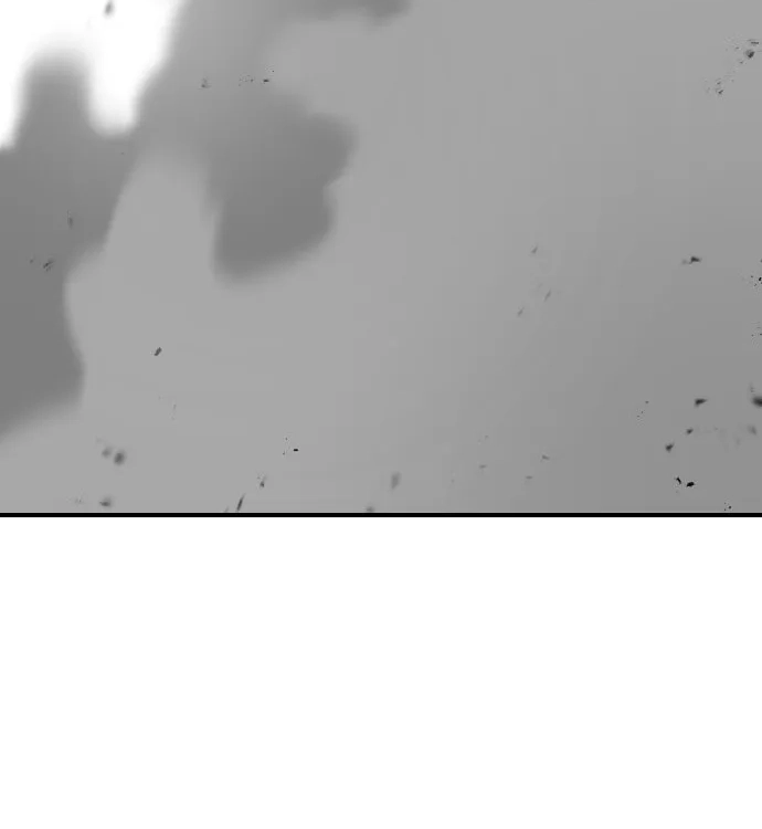 Reincarnation of the Veteran Soldier Chapter 13, page 262 of 271