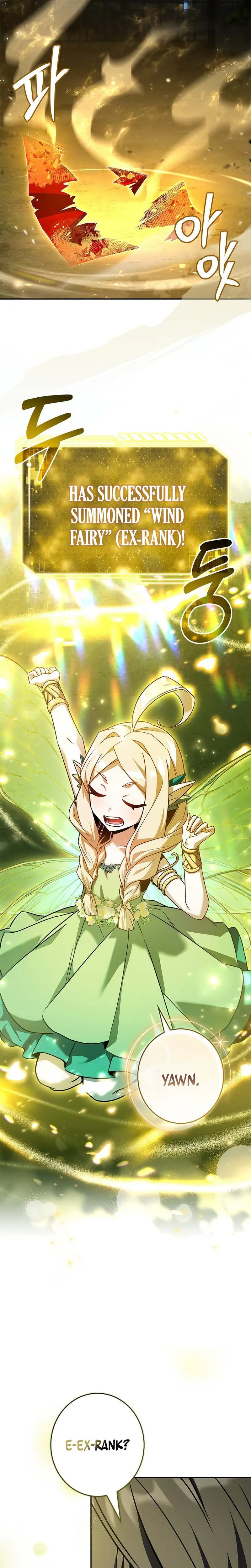 Solo EX-Rank Summoner Chapter 2, page 11 of 37
