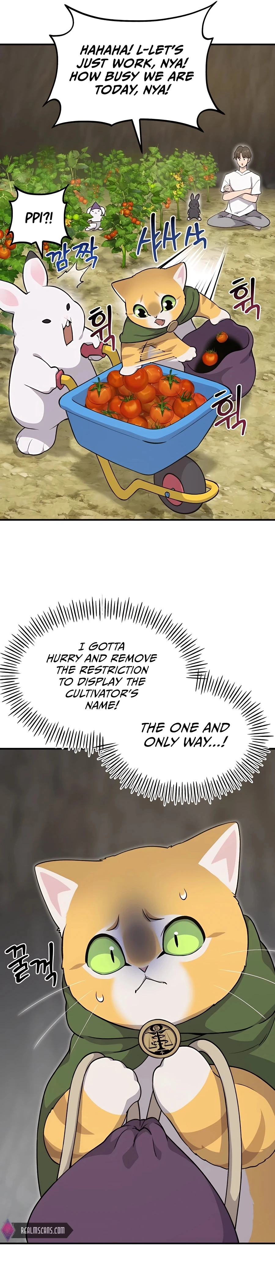 Solo Farming In The Tower Chapter 13, page 43 of 44