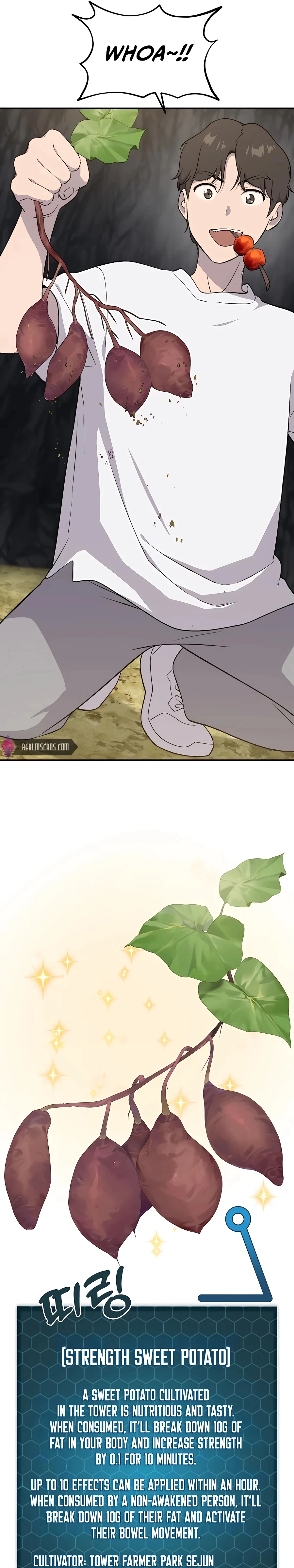 Solo Farming In The Tower Chapter 8, page 17 of 42
