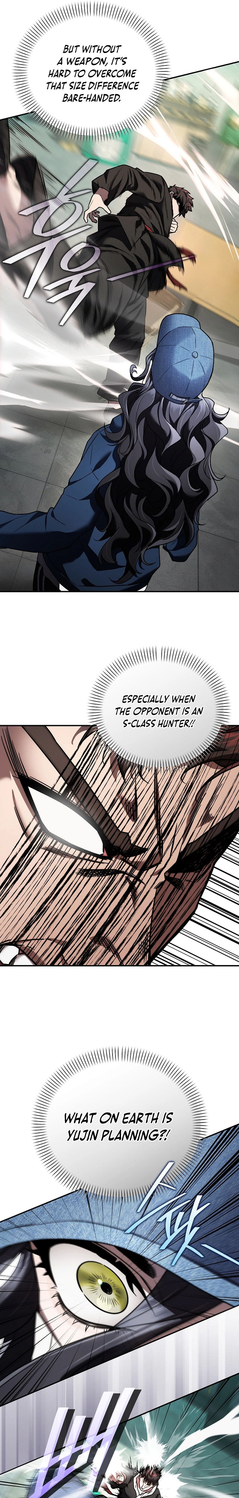 SSS-Class Regressor Has No Conscience Chapter 11, page 26 of 36