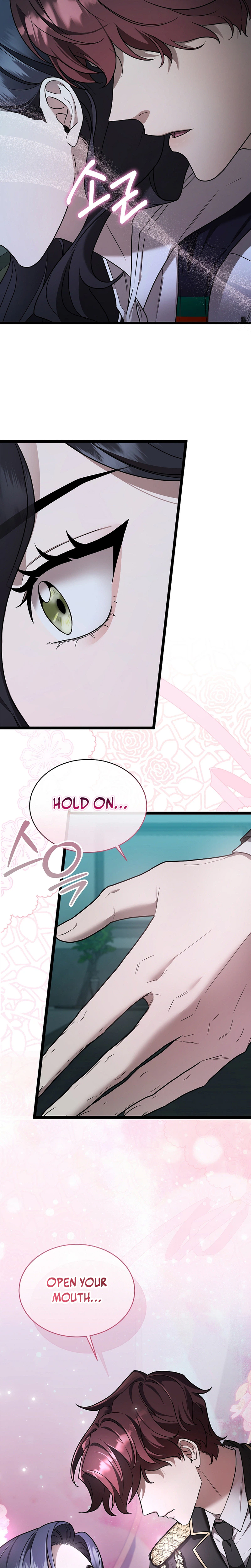 SSS-Class Regressor Has No Conscience Chapter 5, page 14 of 38