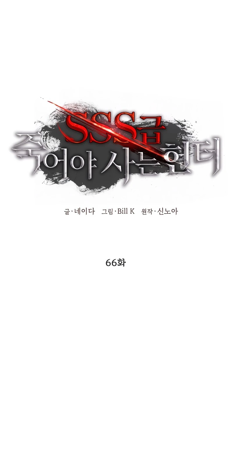 SSS-Class Suicide Hunter Chapter 66, page 5 of 19
