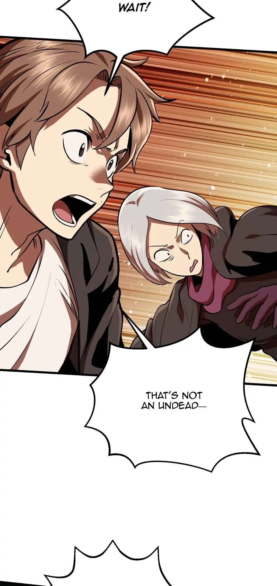 Survival Story of a Sword King in a Fantasy World Chapter 114, page 17 of 109