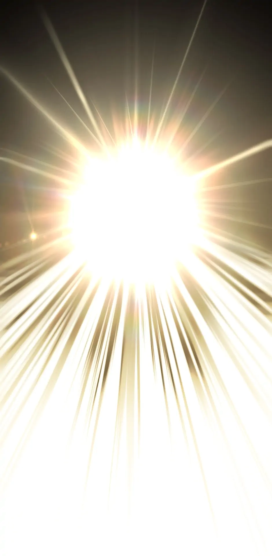 Survival Story of a Sword King in a Fantasy World Chapter 142, page 82 of 90