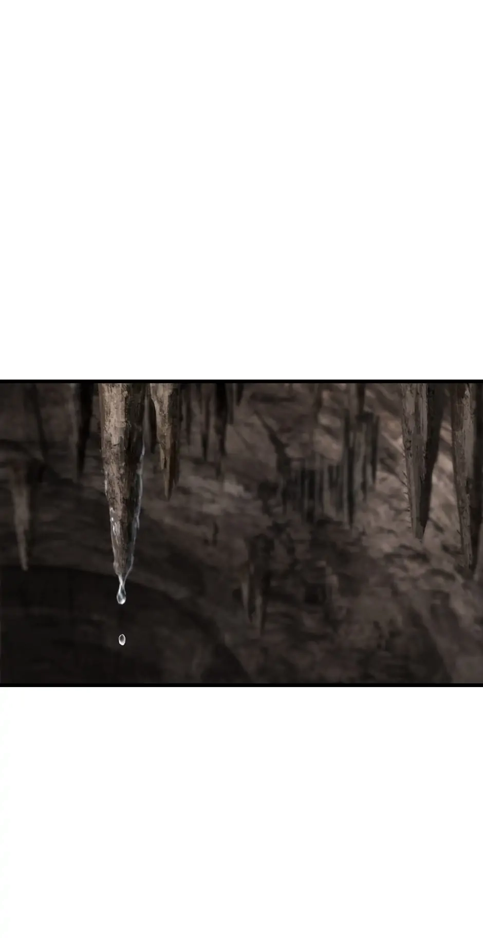 Survival Story of a Sword King in a Fantasy World Chapter 166, page 64 of 105