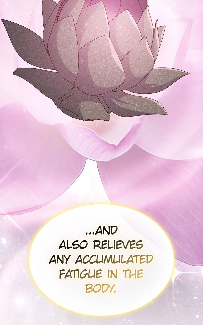 The Advanced Player of the Tutorial Tower Chapter 171, page 17 of 134