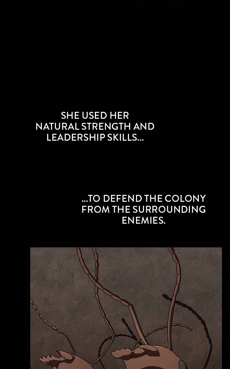 The Advanced Player of the Tutorial Tower Chapter 210, page 56 of 135