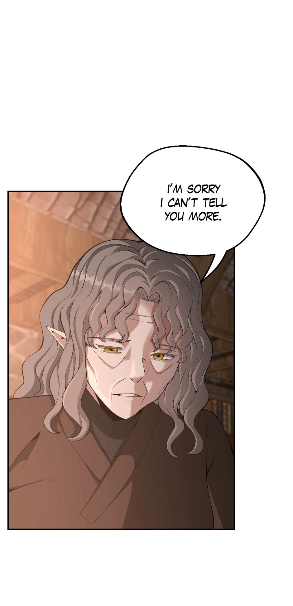 The Beginning After the End Chapter 132, page 29 of 95