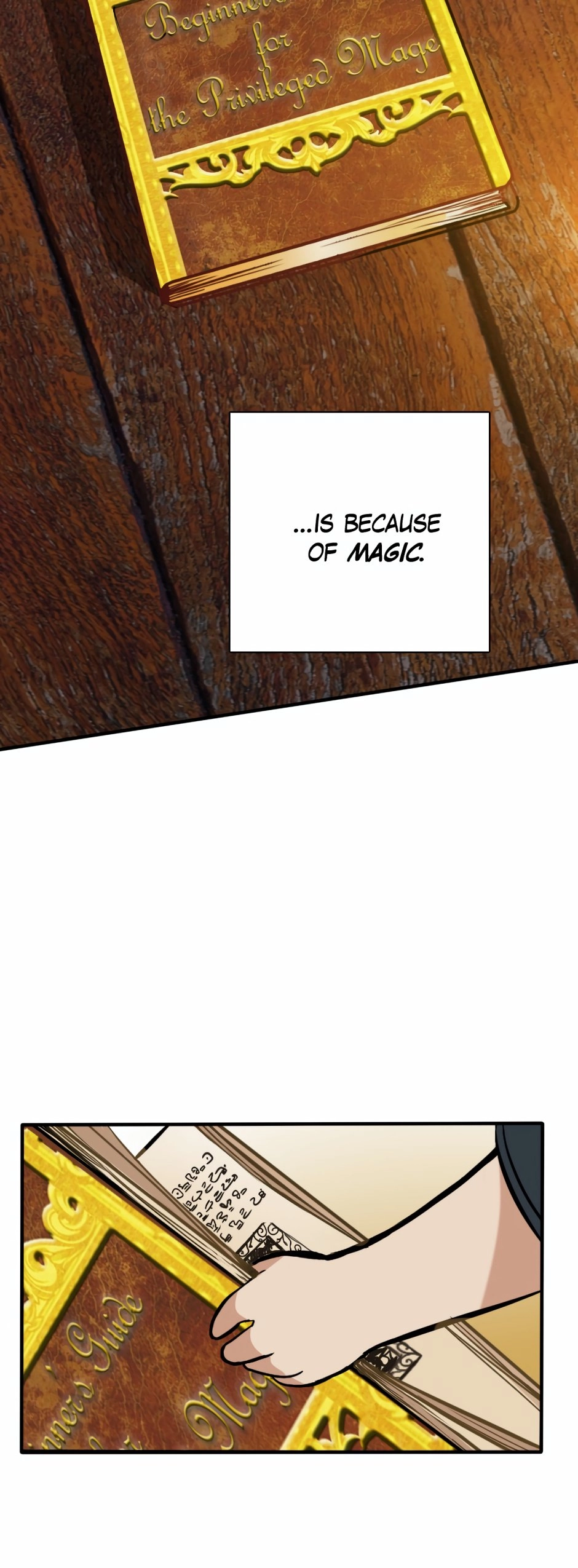 The Beginning After the End Chapter 2, page 35 of 54