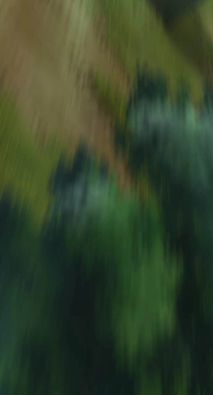 The Dang Clan’s Swordmaster Heir Just Wants a Normal Life Chapter 8, page 77 of 125