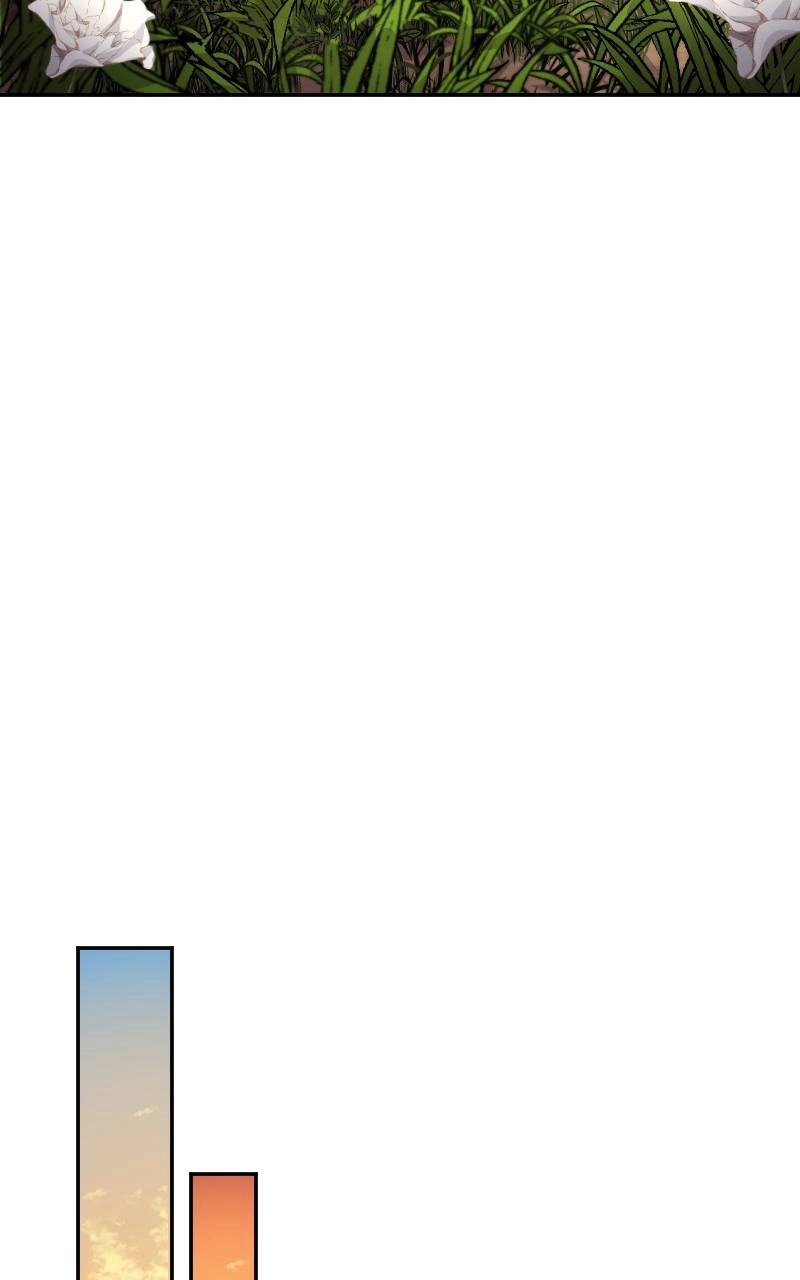 The Laws of Cultivation Chapter 4, page 52 of 82