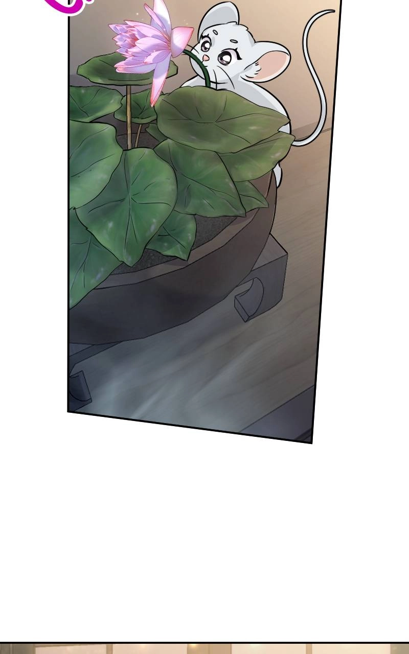 The Laws of Cultivation Chapter 4, page 66 of 82