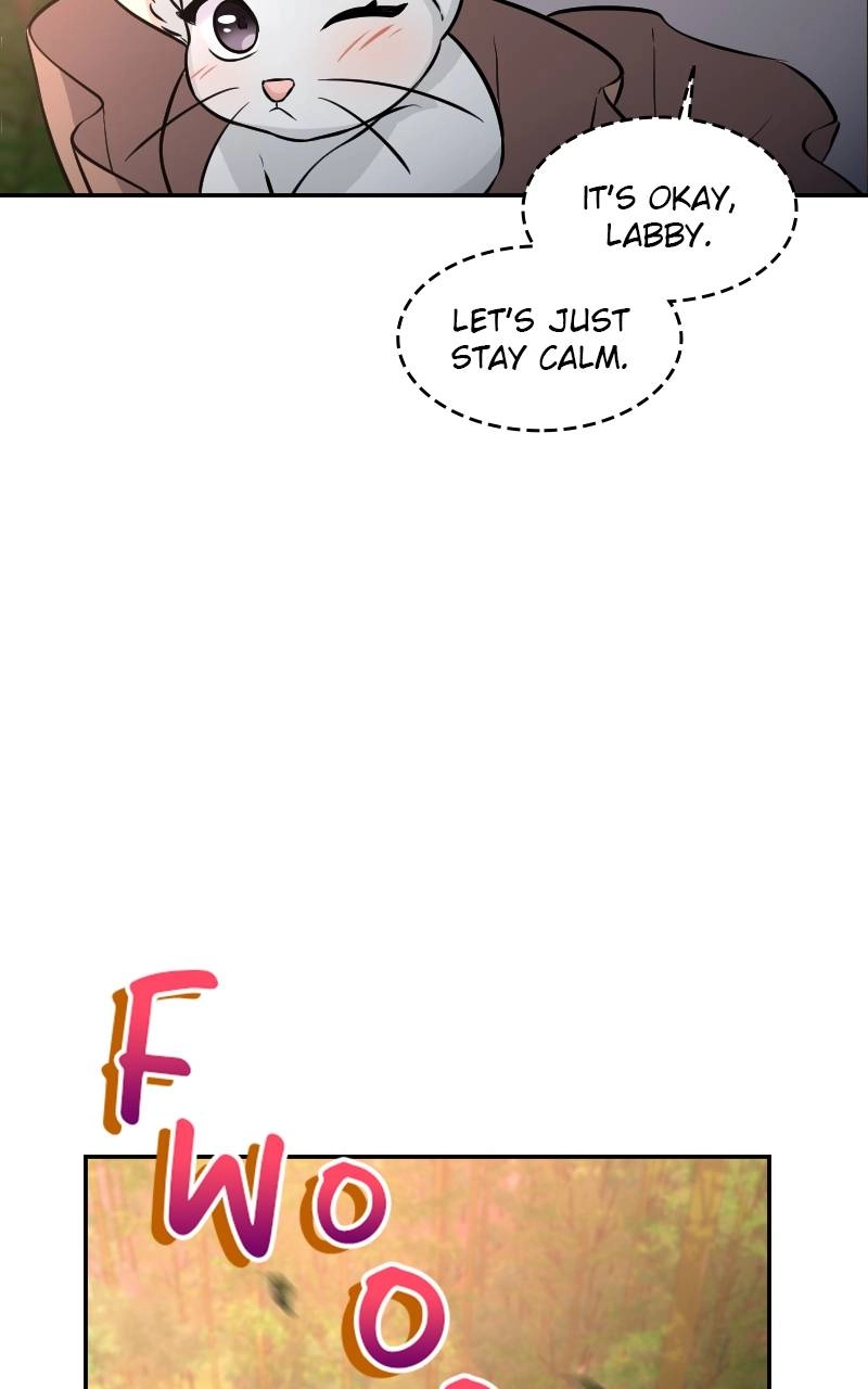 The Laws of Cultivation Chapter 5, page 58 of 78