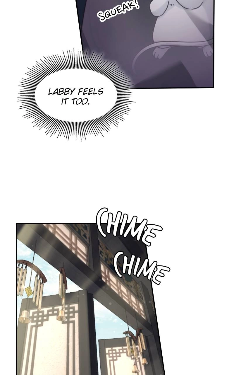 The Laws of Cultivation Chapter 8, page 50 of 79