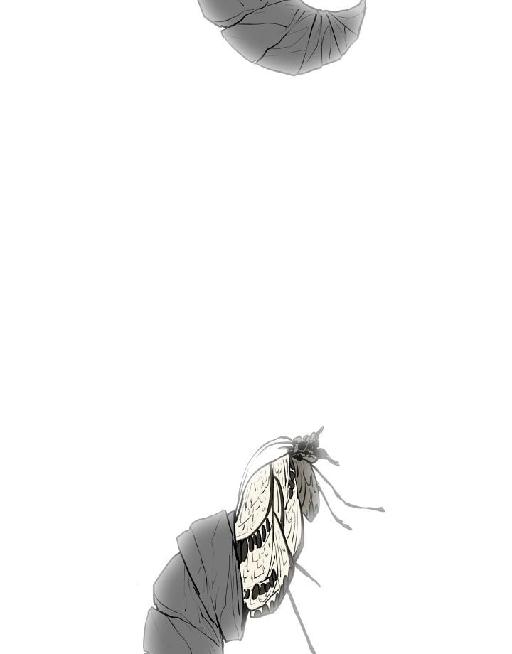 The Legend of the Northern Blade Chapter 175, page 78 of 82