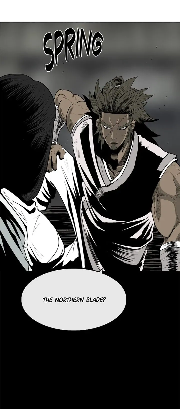 The Legend of the Northern Blade Chapter 81, page 29 of 31