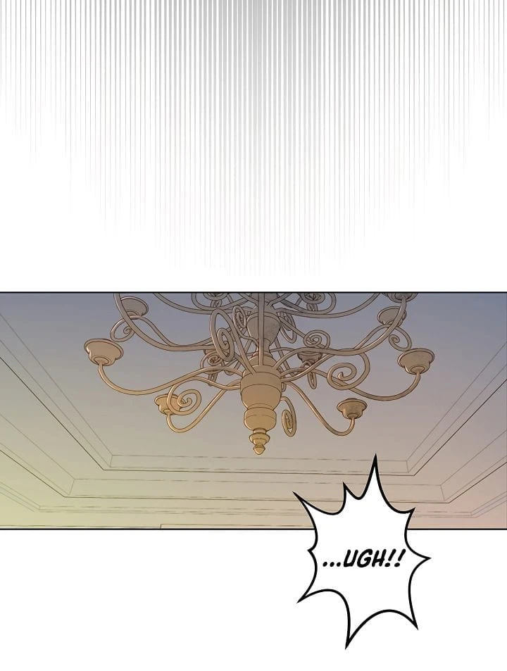 The Max Level Hero has Returned! Chapter 2, page 7 of 17
