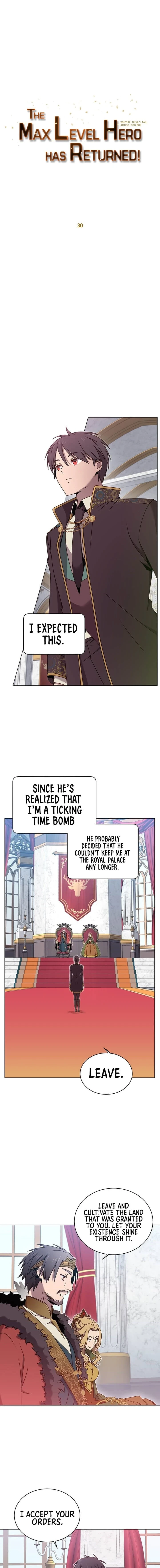 The Max Level Hero has Returned! Chapter 30, page 7 of 17