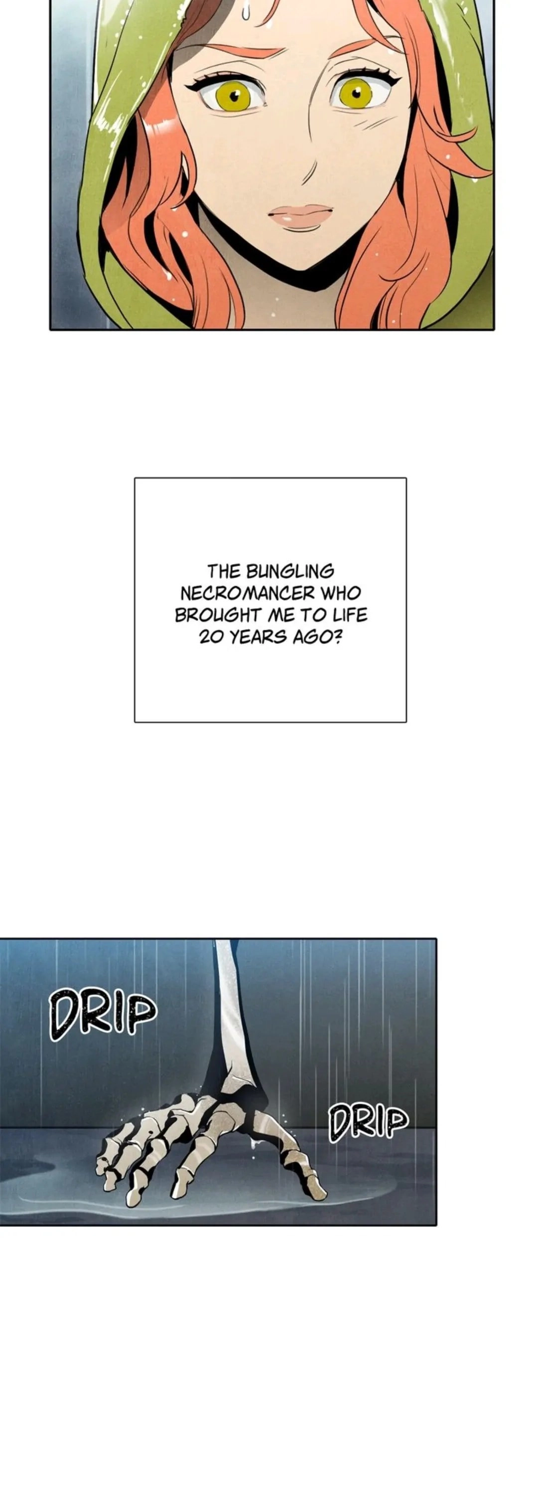 The Skeleton Soldier Failed to Defend the Dungeon Chapter 1, page 28 of 71