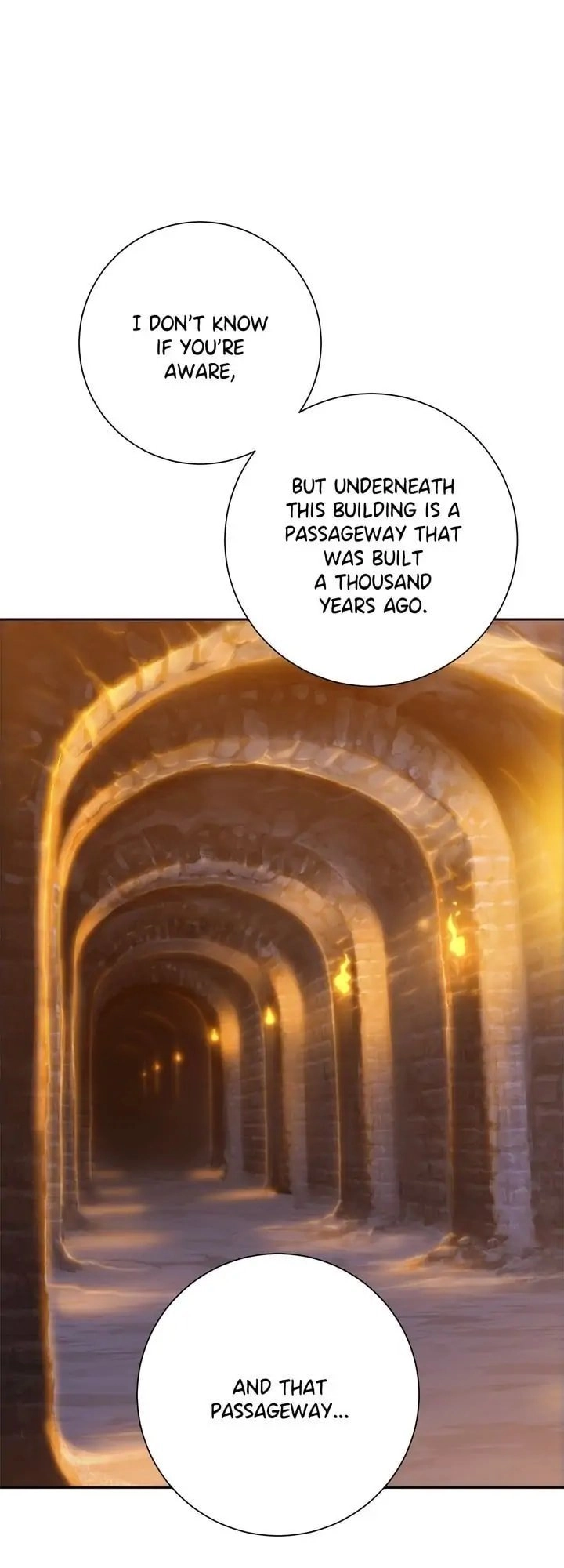 The Skeleton Soldier Failed to Defend the Dungeon Chapter 117, page 29 of 49