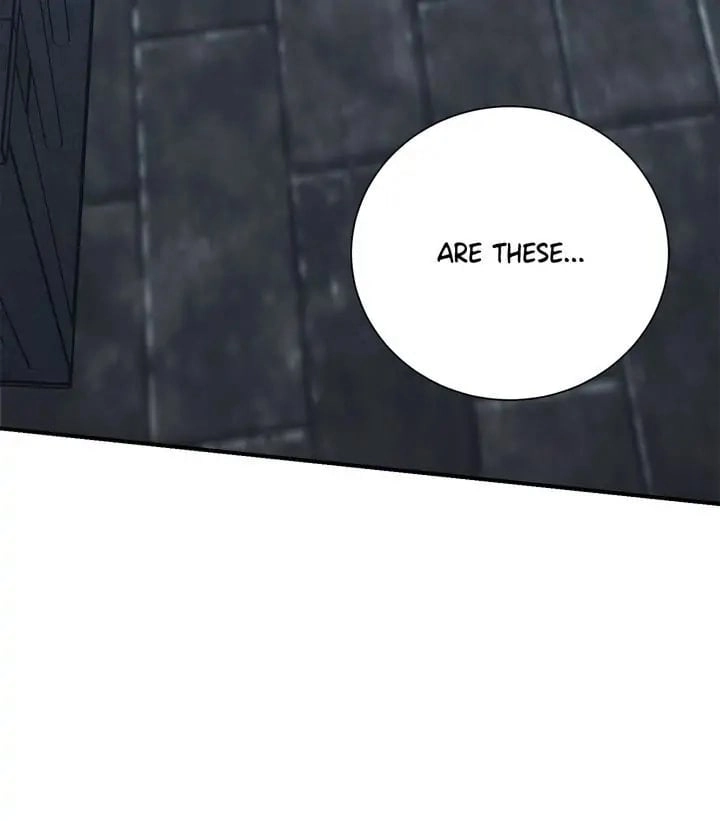 The Skeleton Soldier Failed to Defend the Dungeon Chapter 158, page 17 of 47