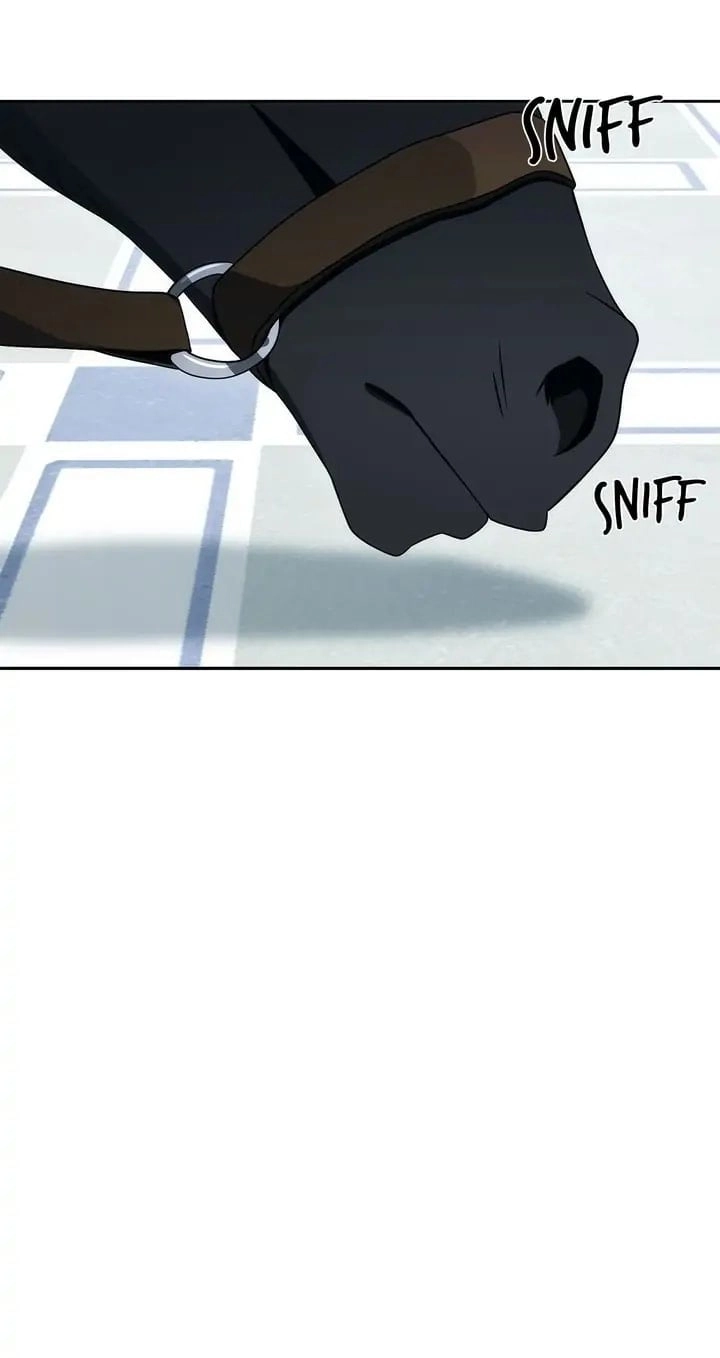 The Skeleton Soldier Failed to Defend the Dungeon Chapter 187, page 24 of 50